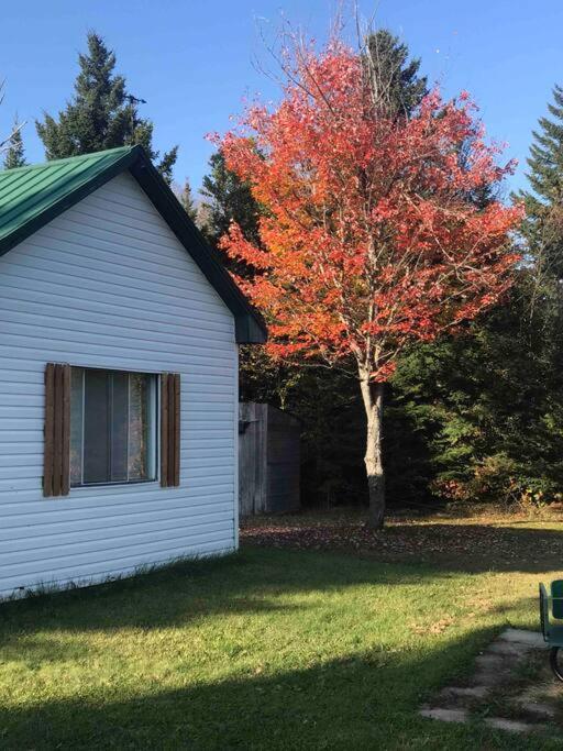 Le Jazz- Chalet Rustique/Chic Avec Spa Notre-Dame-Des-Bois Exterior photo