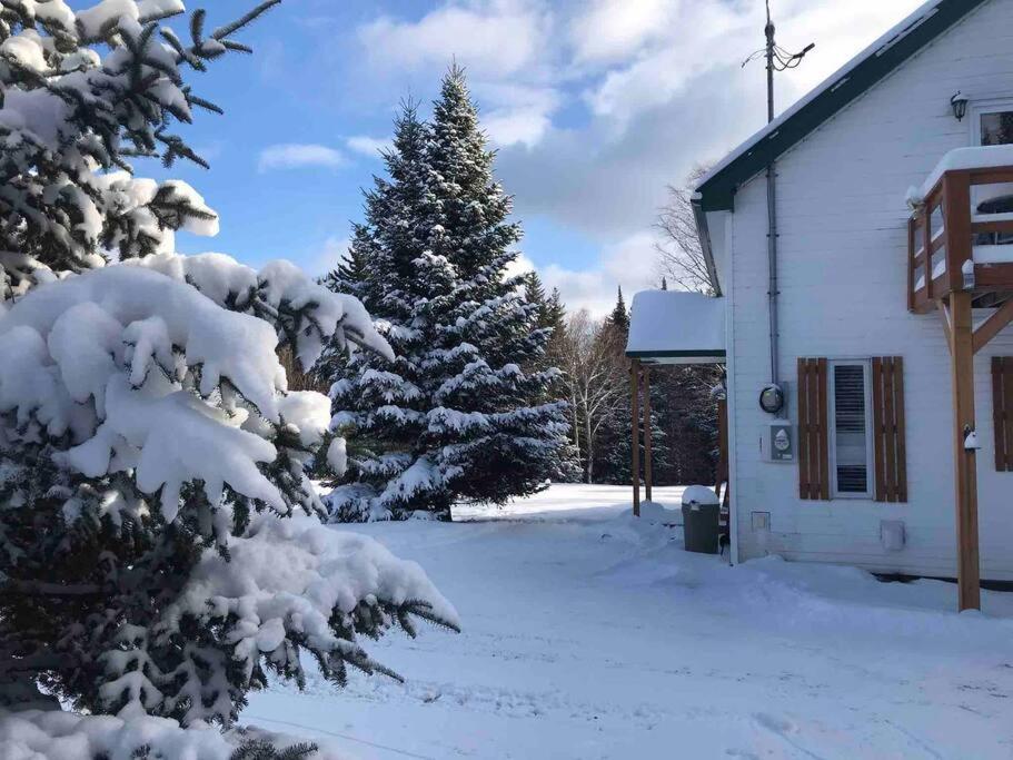 Le Jazz- Chalet Rustique/Chic Avec Spa Notre-Dame-Des-Bois Exterior photo